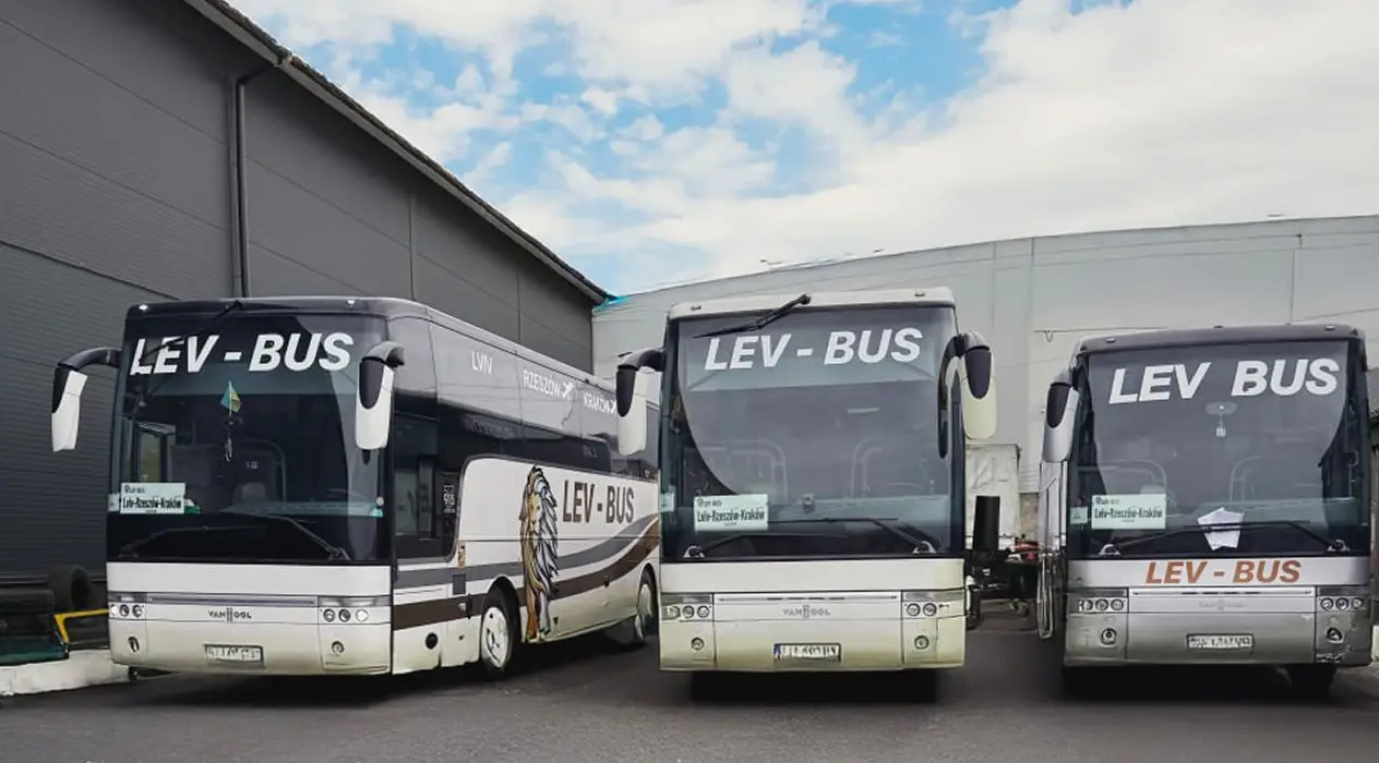 bus